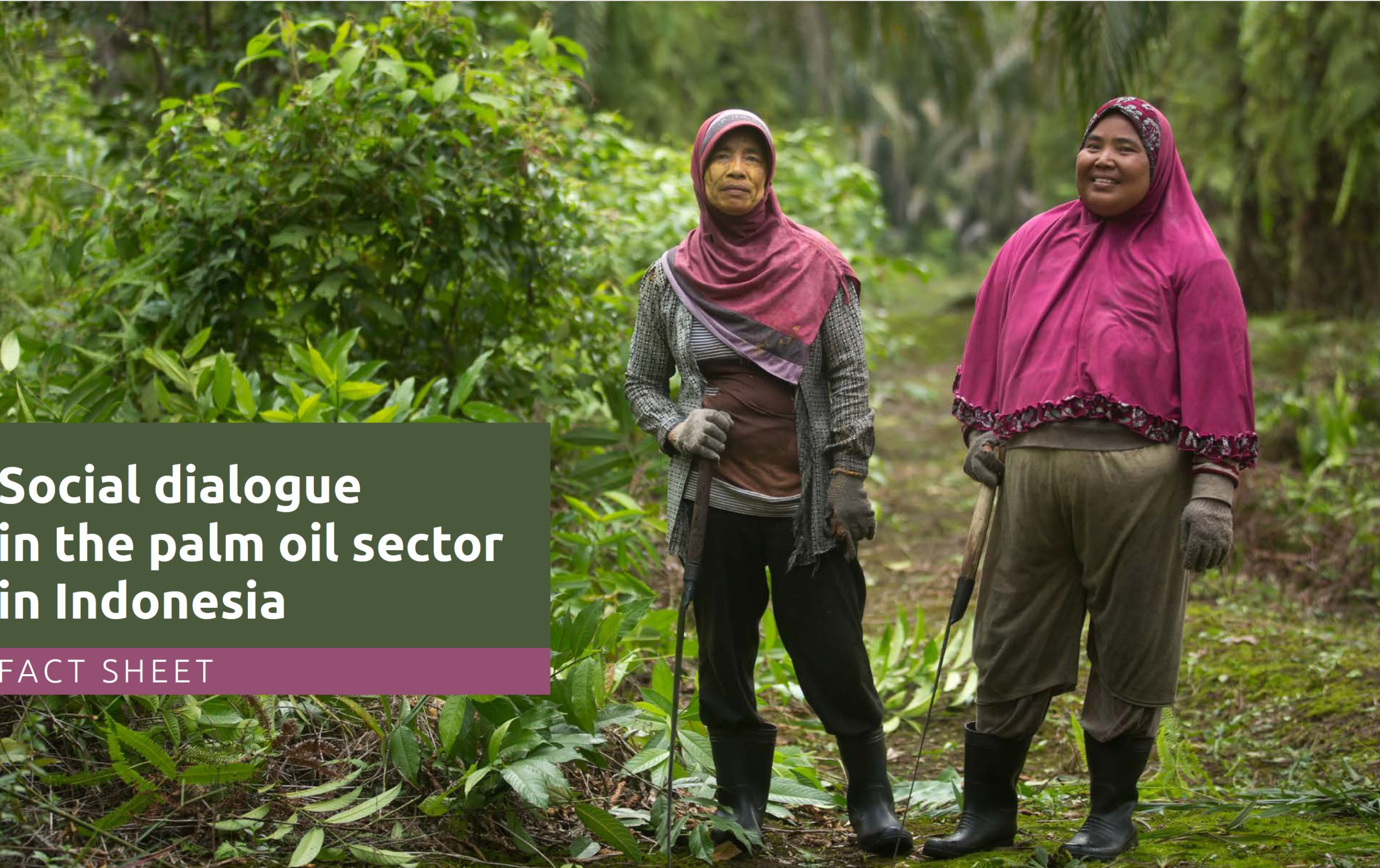 FACTSHEET Social Dialogue in the palmoil sector in Indonesia 