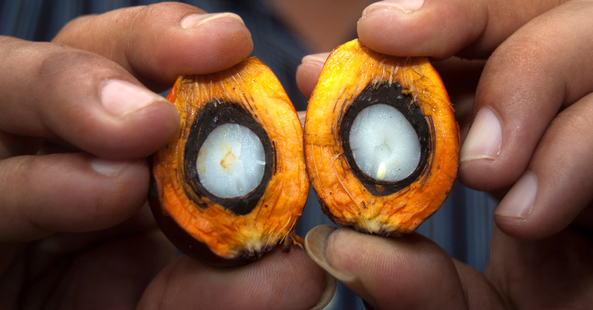 Arbeidsrechtenschendingen in Indonesische palmolie industrie