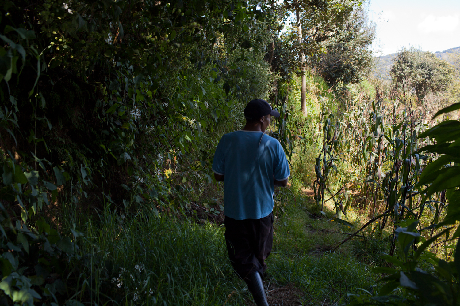 Guatemala nog steeds niet genoeg verdienen om van te leven