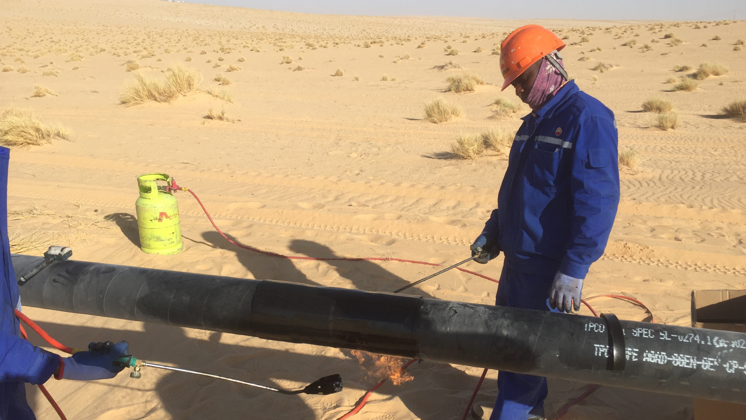Niger SATRAP Workers CNPC