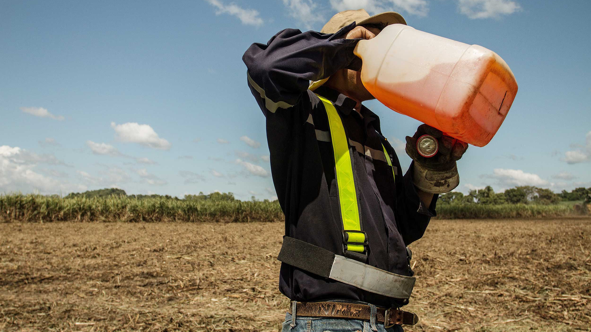 Arbeider op suikerrietplantage drinkt water.