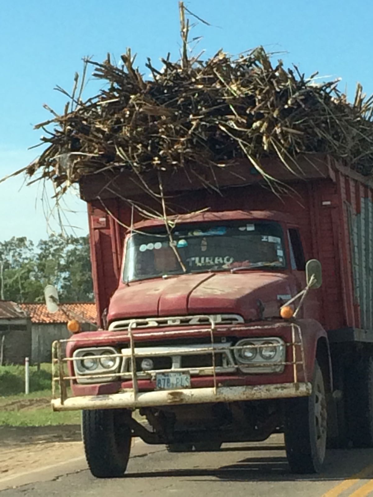 Bolivia suikerriet 
