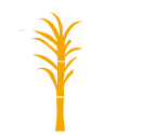 Sugarcane harvester