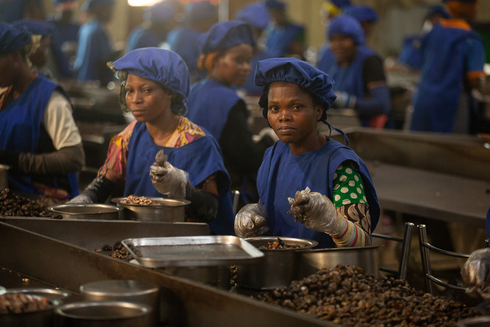 Cashewfabriek in Benin.
