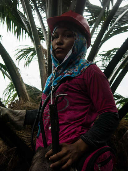 Vrouwelijke arbeider op palmolieplantage in Indonesië.