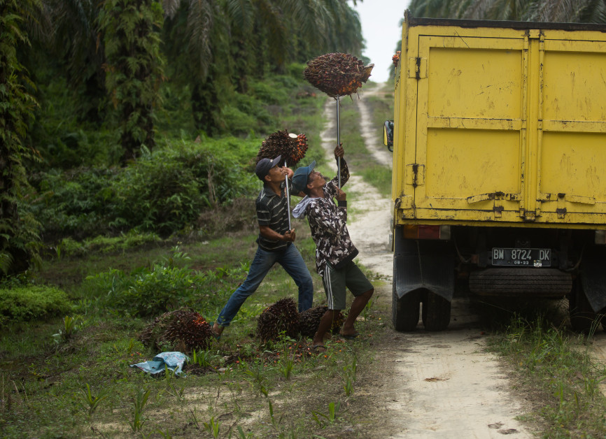 Kesetaraan sebagai aspek penting dalam perdagangan internasional