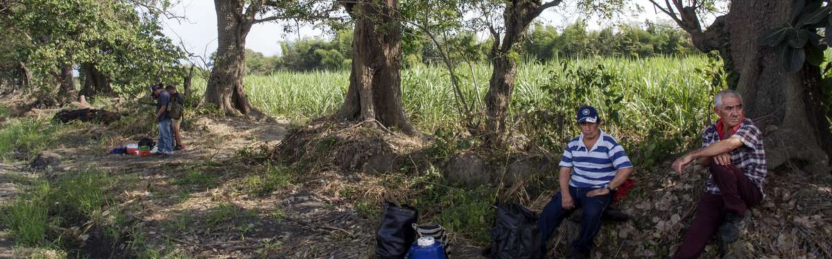 Colombia suikerriet schaduw rust foto BAs de Meijer - copyright CNV Internationaal