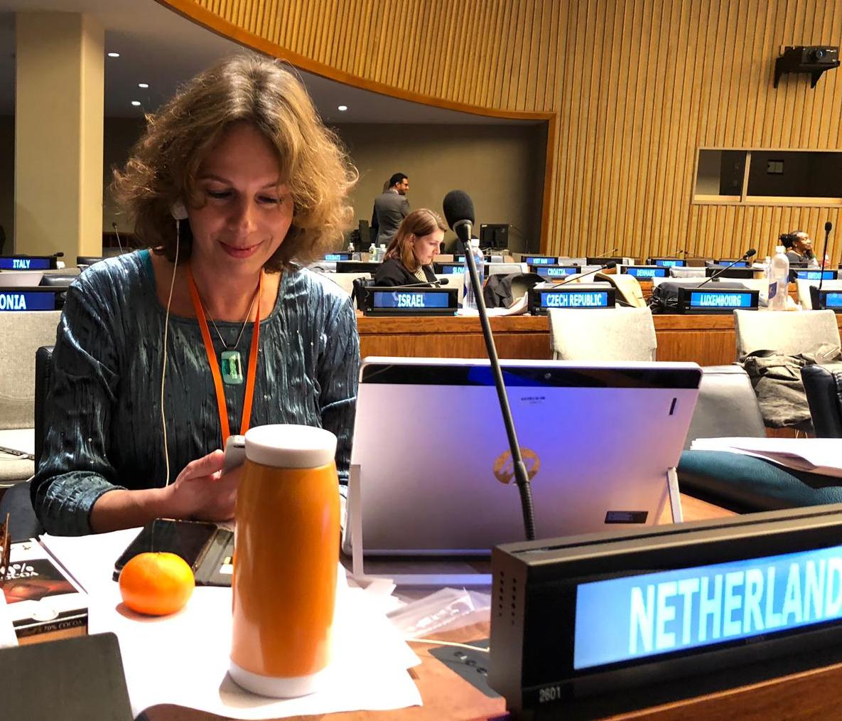 Vertegenwoordiger van het maatschappelijk middenveld Nicole Mathot tijdens de onderhandelingen in New York 