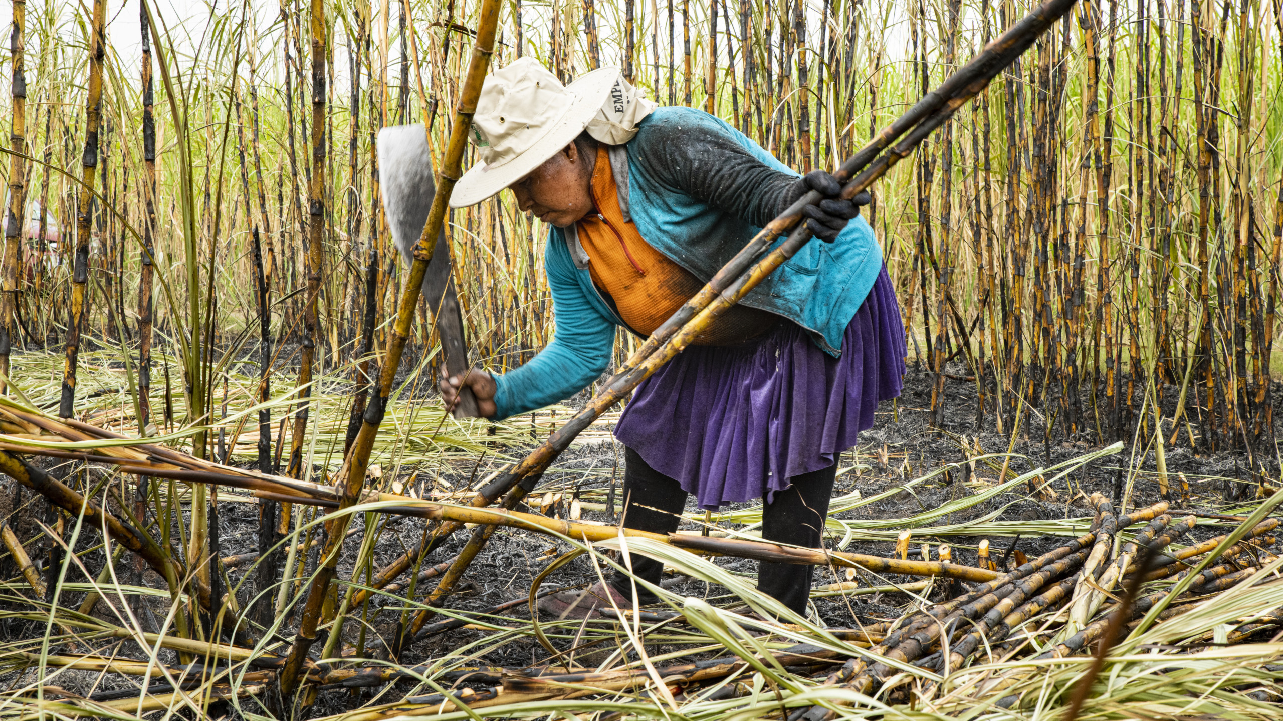 suikerriet kapper vrouw Latijns-Amerika