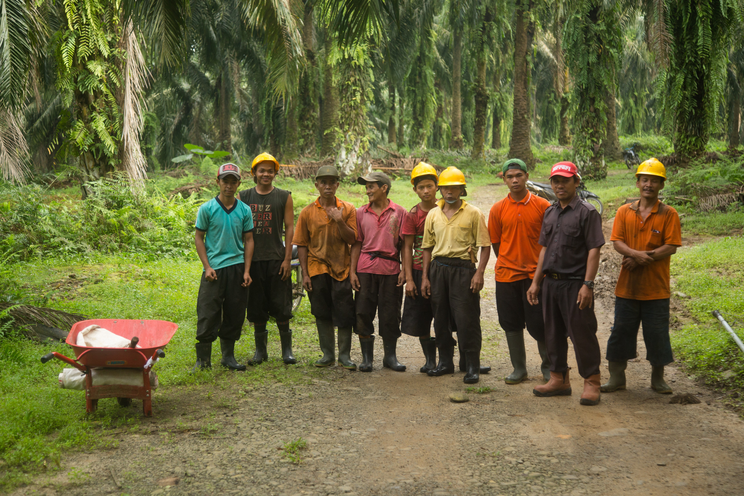 Trade union freedom for palmoil workers in Indonesia