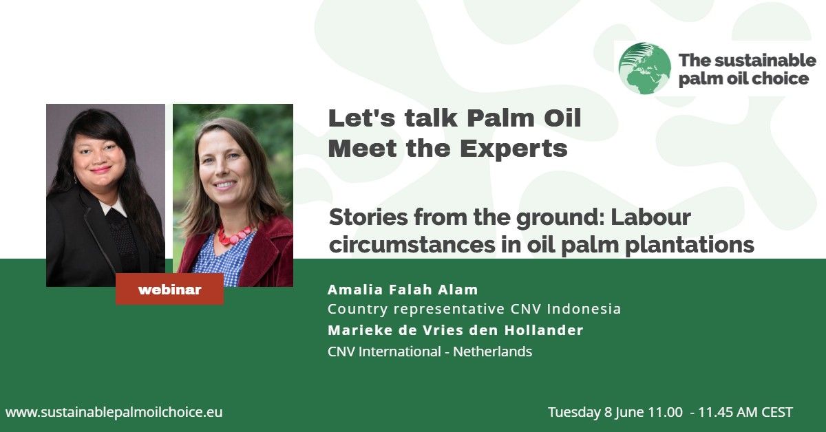 Let's talk Palm Oil