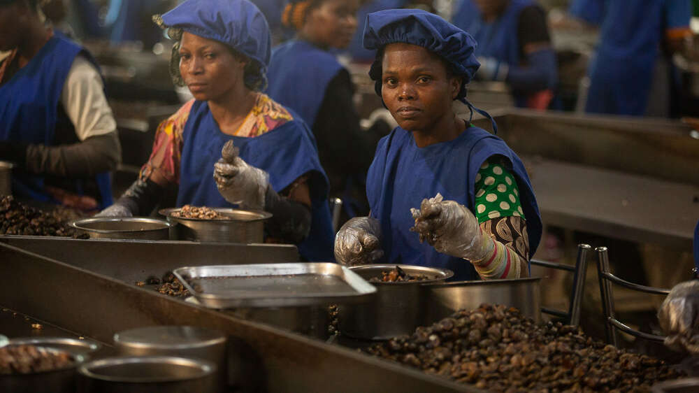 Cashewfabriek in Benin.