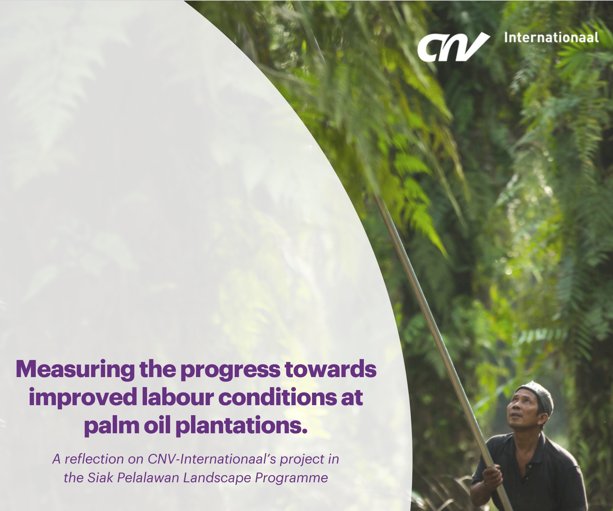 Strengthening Social Dialogue on Palm Oil Plantations in Siak and Pelalawan (powerpoint) 